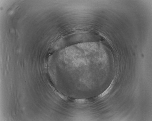 X0000075870192200610062012