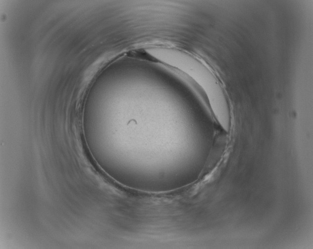 X0000075870193200610062011