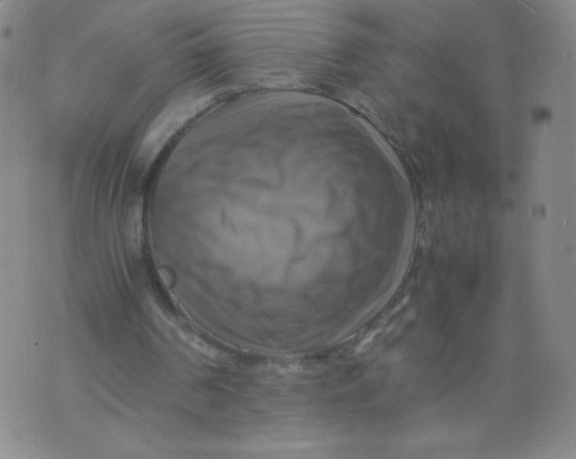 X0000075870194200610062011