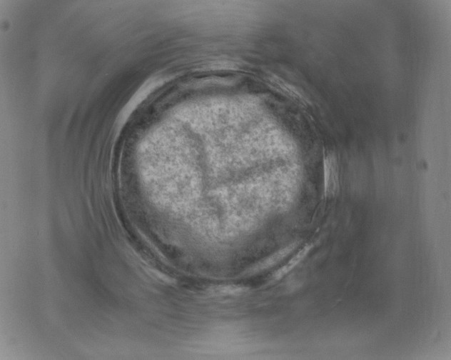 X0000075870195200610062011