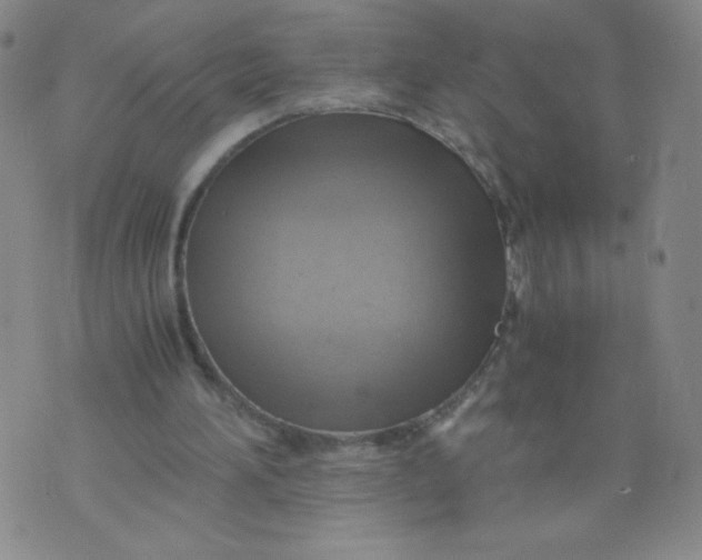 X0000075870196200610062011