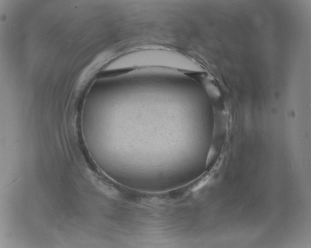 X0000075870197200610062011