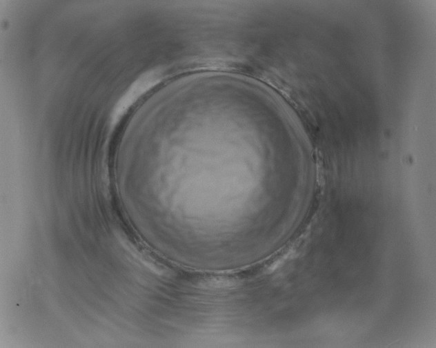 X0000075870198200610062011