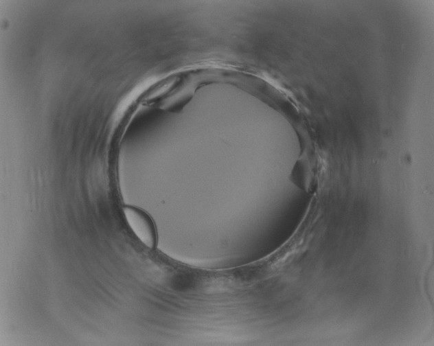 X0000075870200200610062011