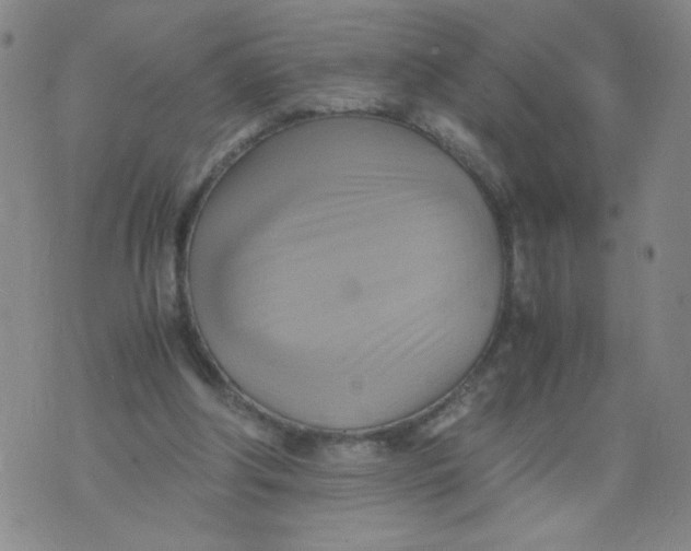 X0000075870202200610062011