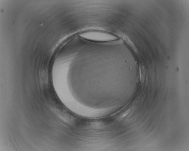 X0000075870204200610062011