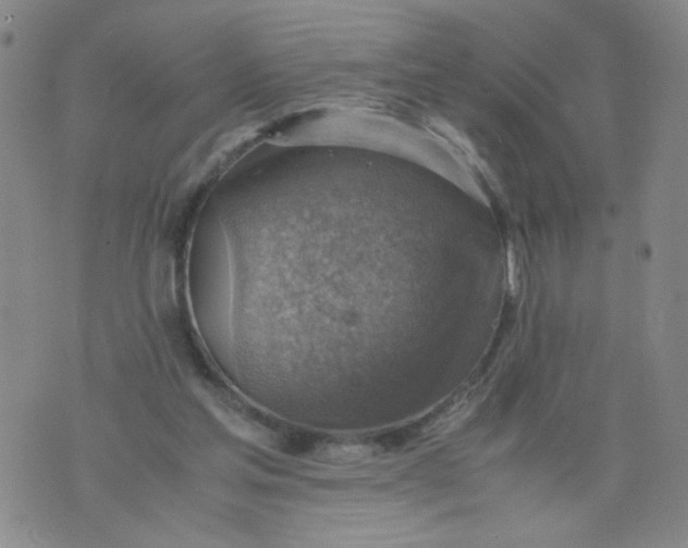 X0000075870205200610062011