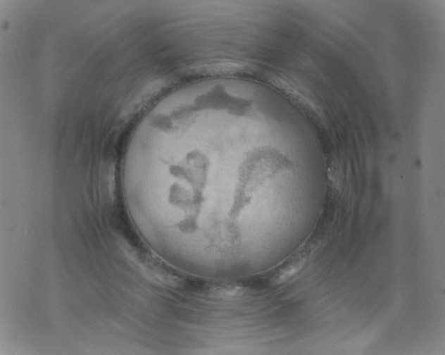 X0000075870206200610062011