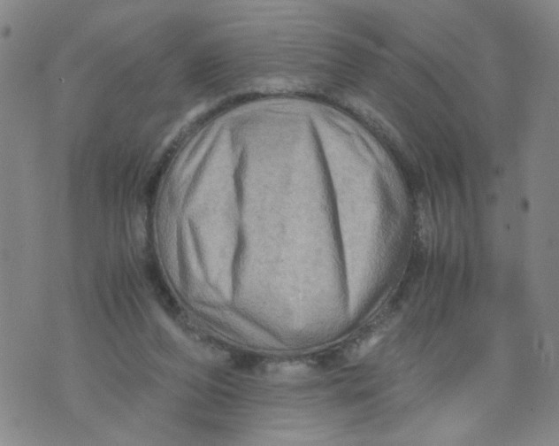 X0000075870208200610062011