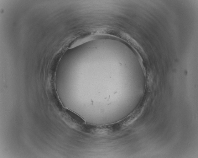 X0000075870209200610062011