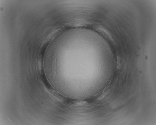 X0000075870210200610062011