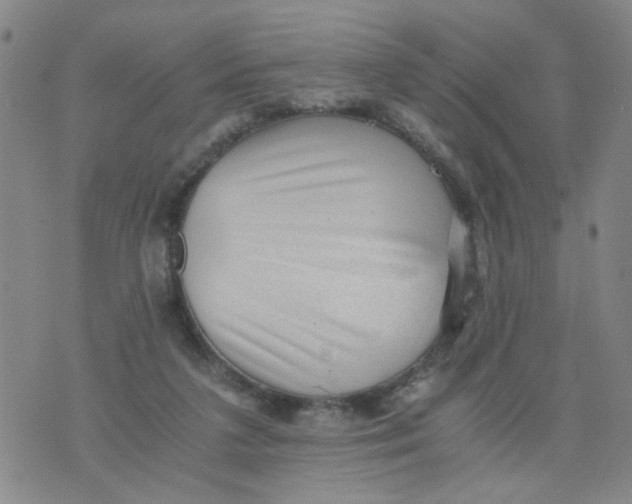 X0000075870211200610062011