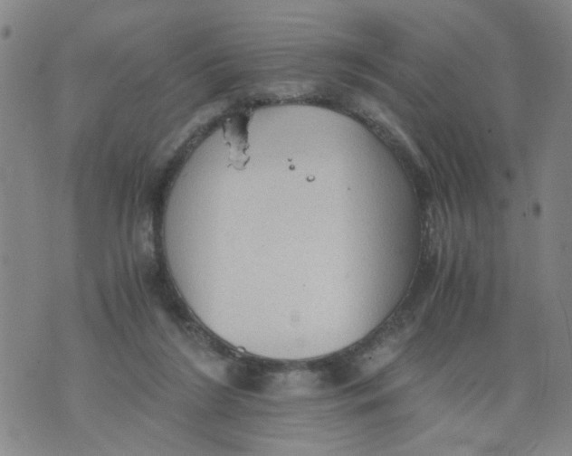 X0000075870212200610062011