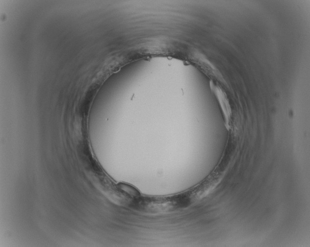 X0000075870213200610062011