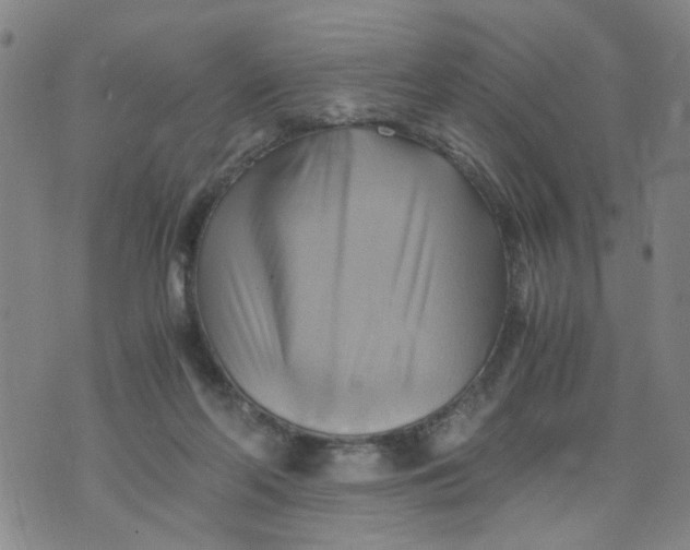 X0000075870214200610062011