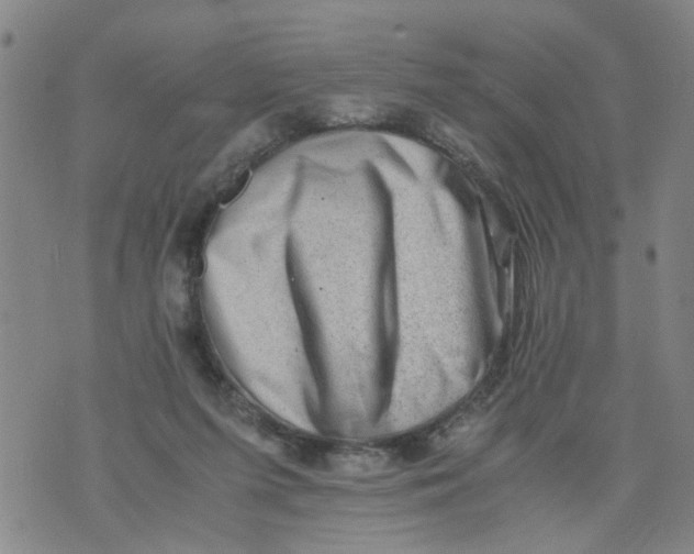 X0000075870215200610062011