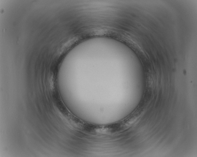 X0000075870216200610062011