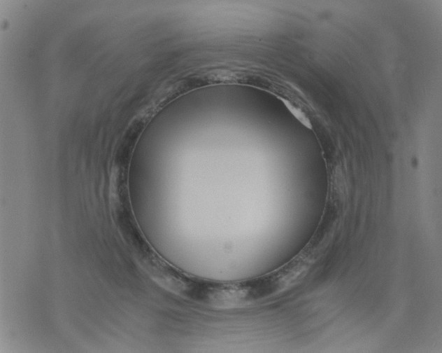 X0000075870217200610062011