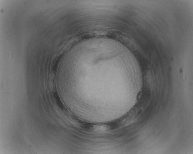 X0000075870218200610062011