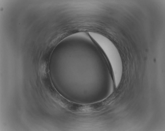 X0000075870219200610062011