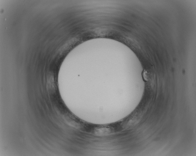 X0000075870220200610062011