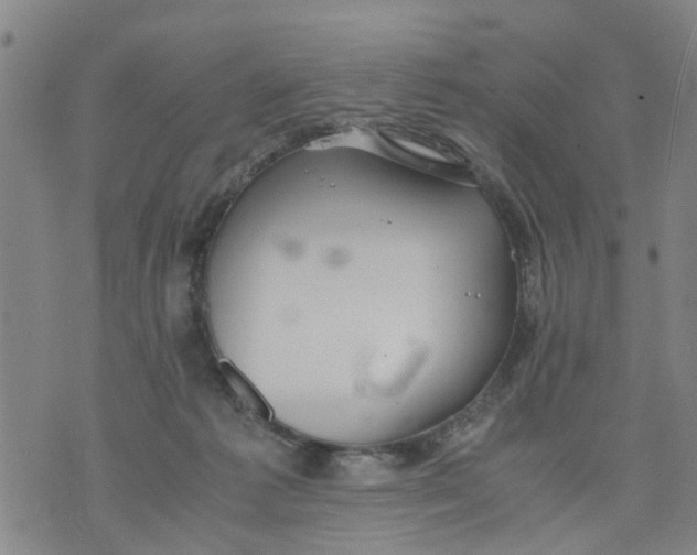 X0000075870221200610062011