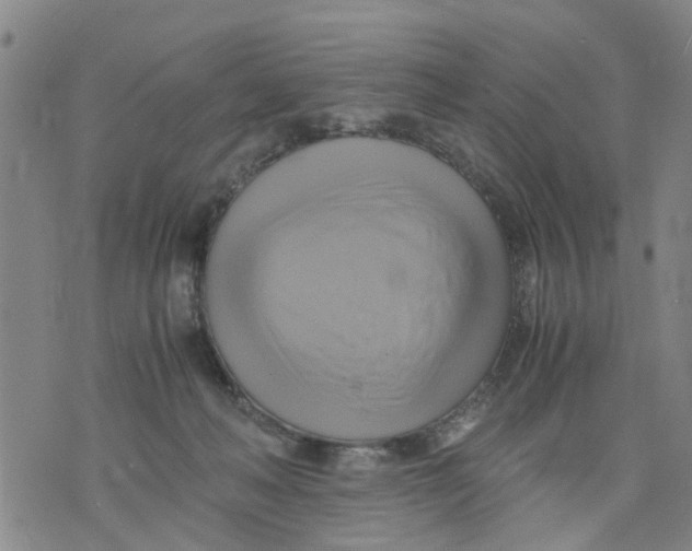 X0000075870222200610062011