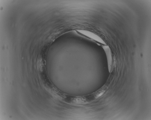 X0000075870223200610062011