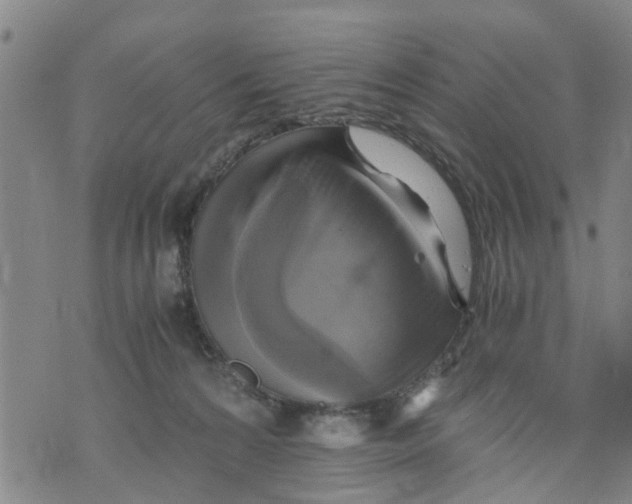 X0000075870224200610062011