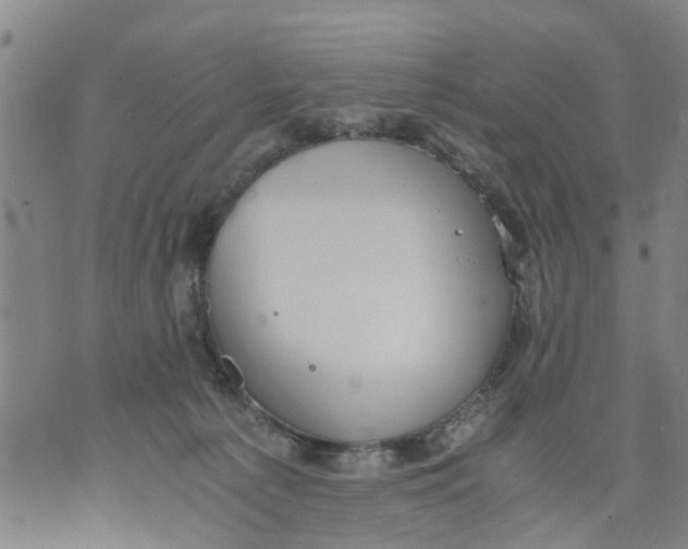 X0000075870225200610062011