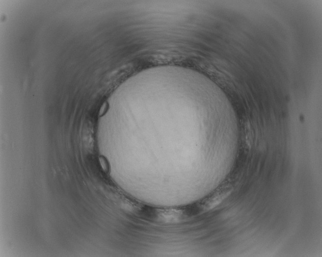 X0000075870226200610062011