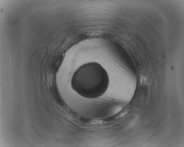 X0000075870227200610062011