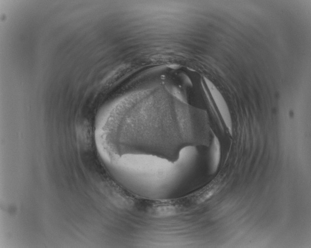 X0000075870228200610062011