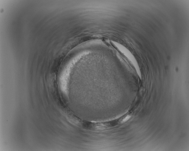 X0000075870229200610062010