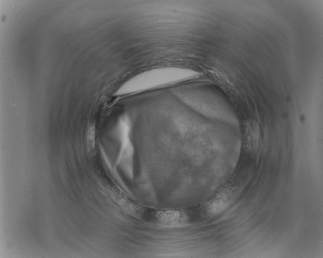 X0000075870230200610062010