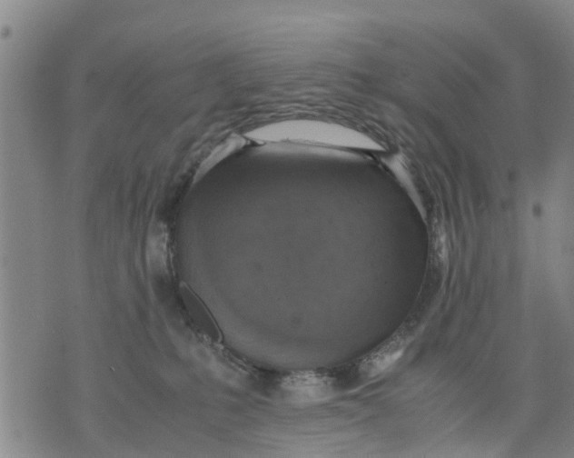 X0000075870231200610062010