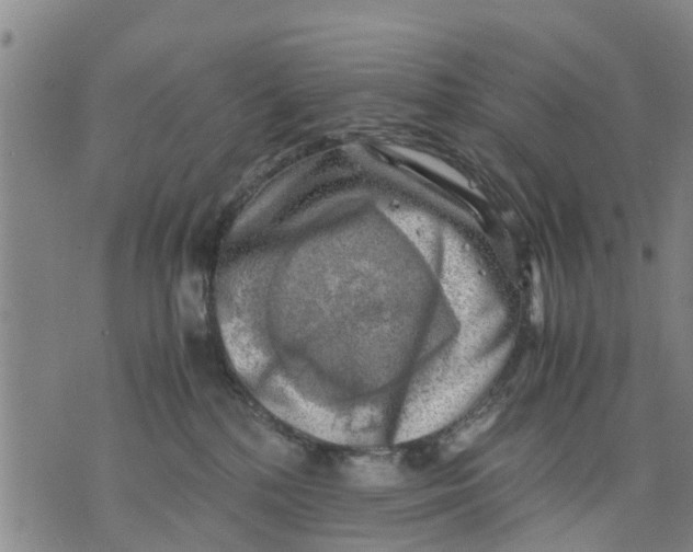 X0000075870232200610062010