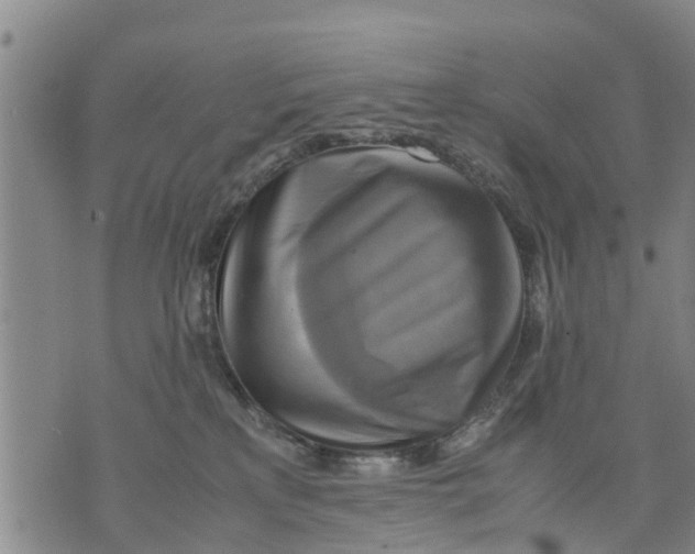 X0000075870233200610062010