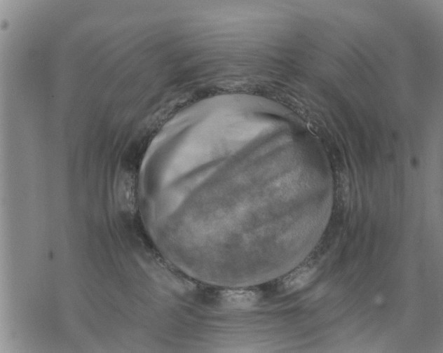 X0000075870234200610062010