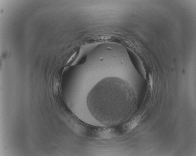 X0000075870235200610062010