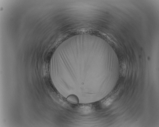 X0000075870236200610062010