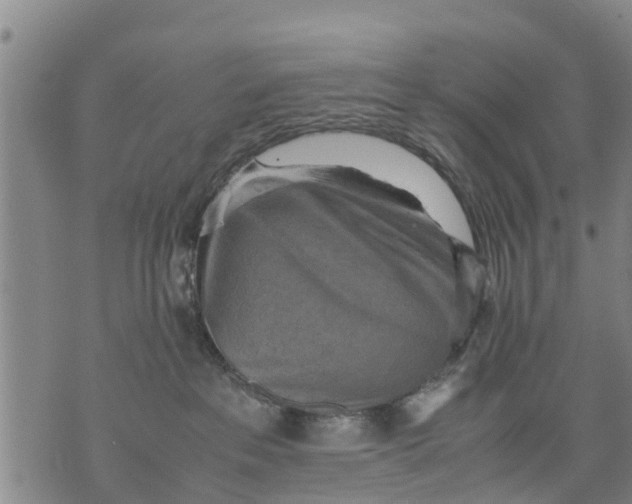 X0000075870237200610062010