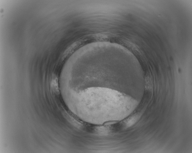 X0000075870238200610062010