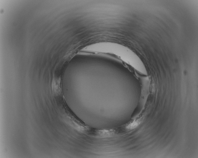 X0000075870239200610062010