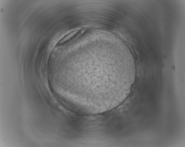 X0000075870241200610062010