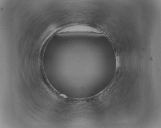 X0000075870243200610062010