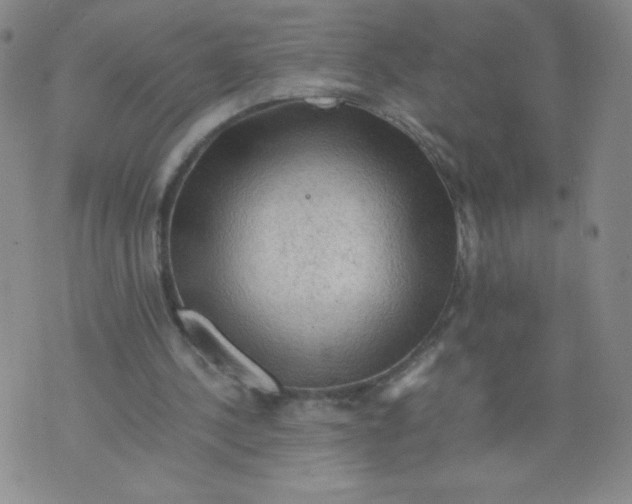 X0000075870244200610062010