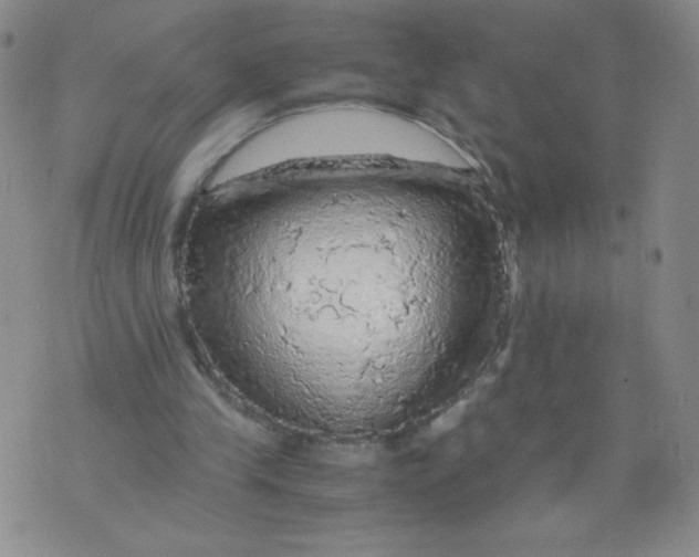 X0000075870245200610062010