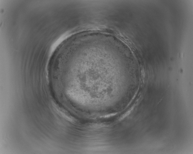 X0000075870246200610062010