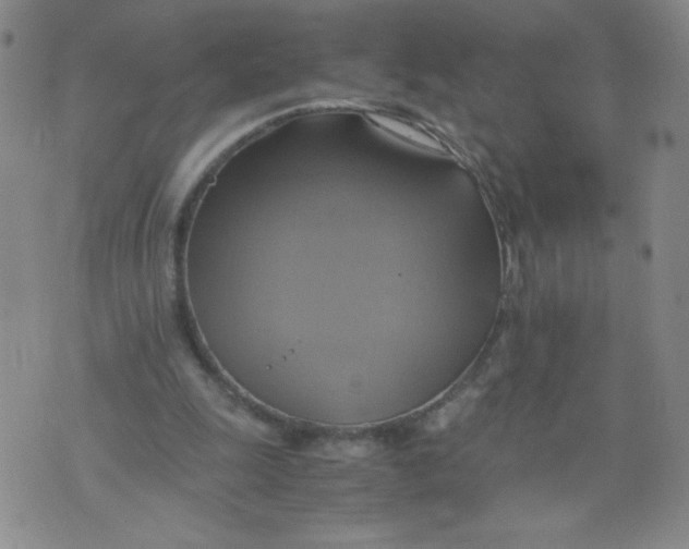 X0000075870247200610062010